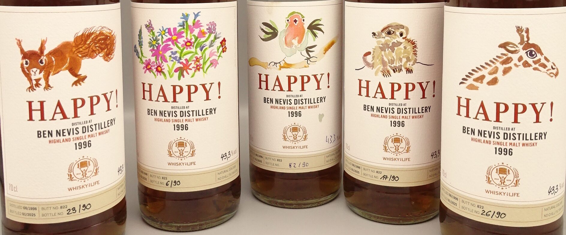 Ben Nevis 1996/2025 28yo HAPPY! Butt No. 822 43,3% – Bild 2